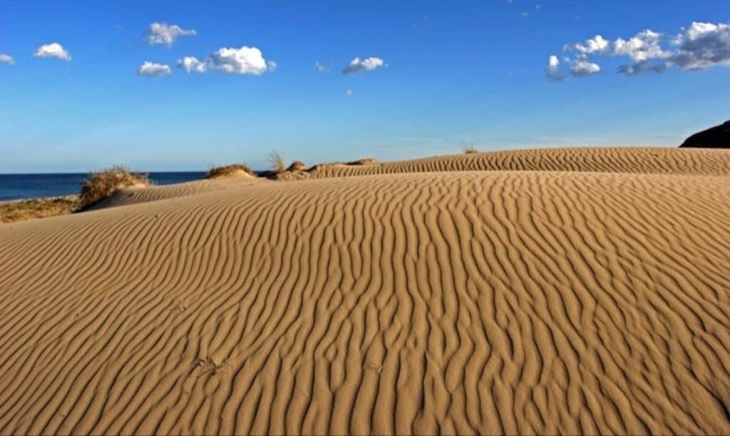 Spanish Sun - 500 M From The Beach Arenales del Sol Exteriör bild
